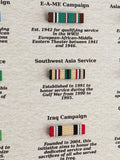 The America Campaign Ribbon Display