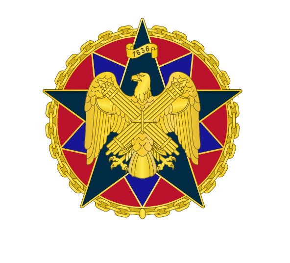 National Guard Bureau Identification Badge - Mid